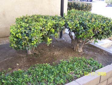 Professional Groundworks Photos