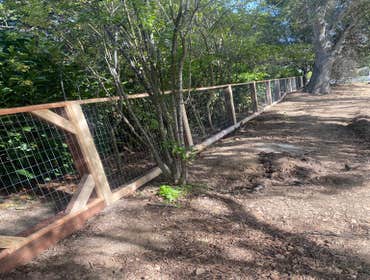 Photos by Rosales Garden and Tree Service #5
