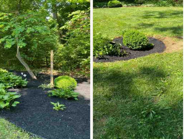 Photos by Patricia Multiservice and Landscaping #5