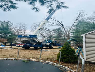 Photos by Yandi's Tree Service #6