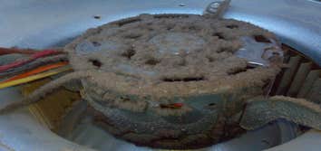 Before a Precision Tune Up