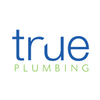 True plumbing logo