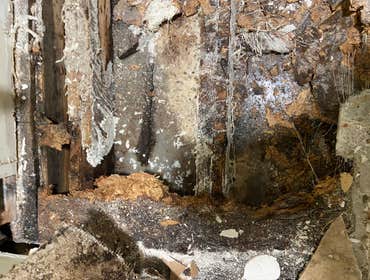 Water Damage & Sewage Cleanup / Demolition