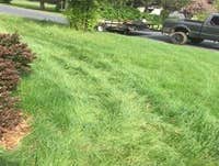 Photos by Pioneer Lawn & Landscaping Services, LLC #1
