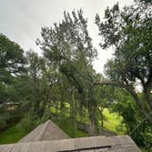 Photos by Naranjal Tree Service LLC #4