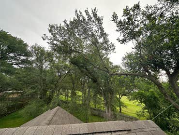 Photos by Naranjal Tree Service LLC #4