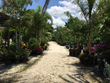 Photos by B&c Fruit Trees & Landscape LLC #1