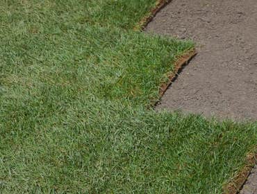 Photos by Nexgen Landscaping #1