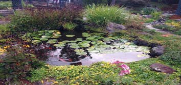 Photo(s) from Frenchs Waterscapes