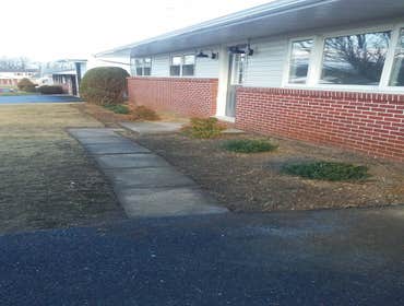 Photos by We Do Odd Jobs #1
