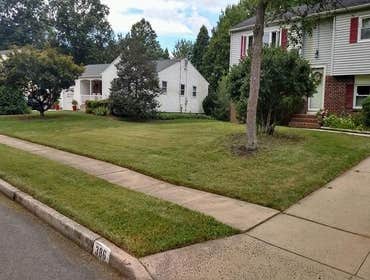 Photos from Price & Sons Landscaping T/A Dennis Price
