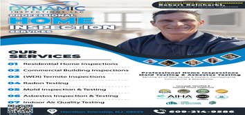 Dynamic Inspections