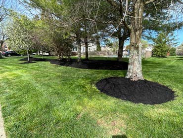 Photos by Rosales Landscaping Service LLC #23