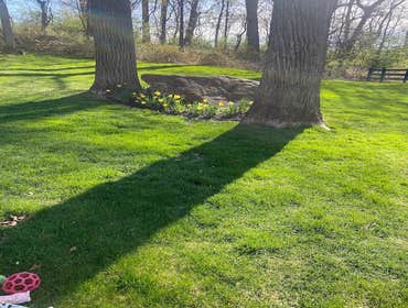 Photos by River Mountain Landscape & Property Services, Inc #1
