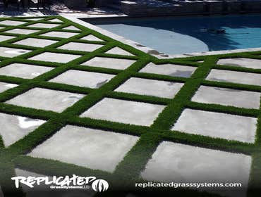 Photos from Replicated Grass Systems