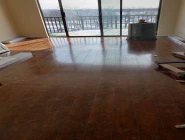 Photos by Smaglianteservices #1
