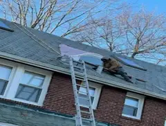Photos by Noble Roofing #1