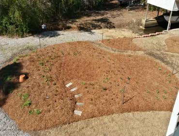 Projects and Plants This gallery shows a combination of projects and beautiful Native Plants. Projects that meet the requirements of a National Wildli