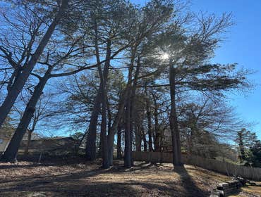 Photos by Kings Tree Service & Landscaping Co #25
