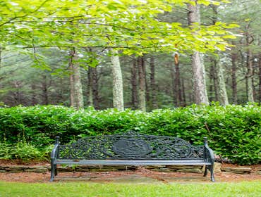 Knoxville Landscaping Company