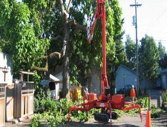 Photos from General Tree Service