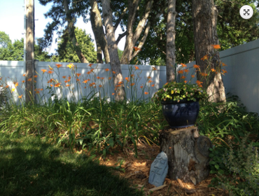 Vinyl Fencing