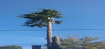 Photo(s) from Flawk Tree Service