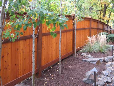 Fences