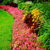 Photos by Bermudez Gardening Services #3