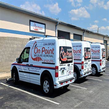 Photos by on Point Wildlife Removal #1