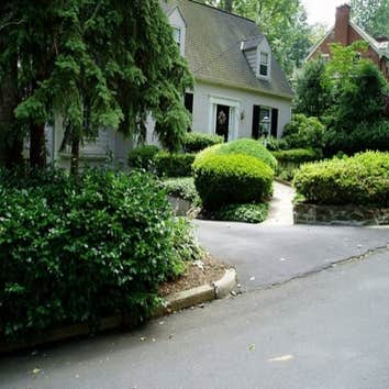 Landscaping We know your lawn is important to you – it’s something you and your guests see and touch every day. Our services will ensure your home and 