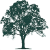 Sacred Oak Homes logo