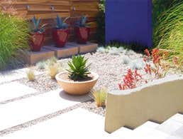 Earth Design Landscape