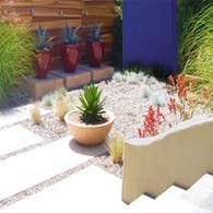 Earth Design Landscape