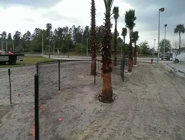 Fences