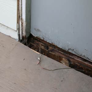 Dry Rot Repair