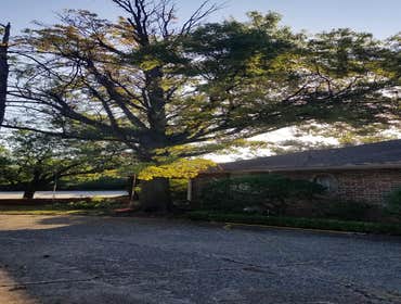 Photos by K&r Tree Service LLC #1