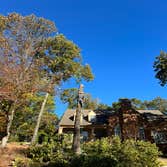 Photos by Rg Tree Services #4