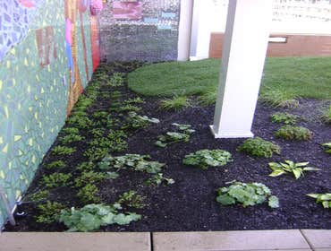 DRF irrigation system in Chica