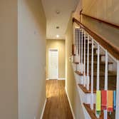 Trucoat Paiting Plus
