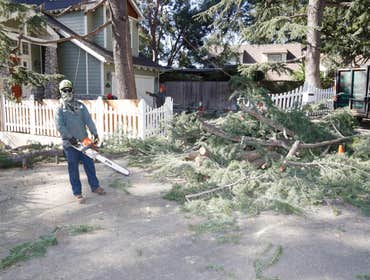 Photos by California Green Tree Care #1