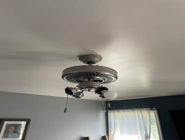 Photos by Jackson Electric #1