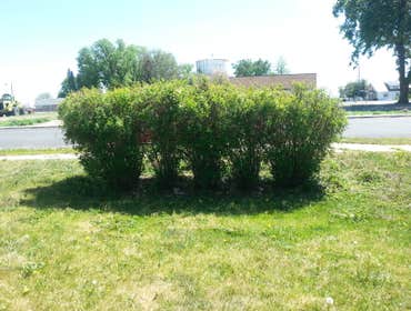 Photo(s) from G N J Contractors Llc