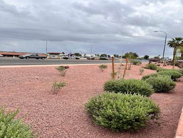 Landscape Construction