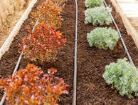 Commercial Irrigation Grandview