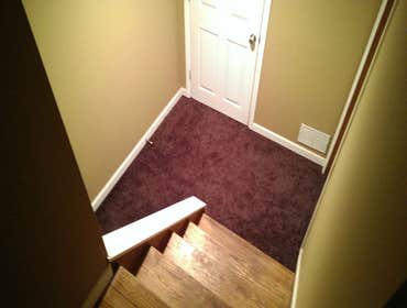 Carpet and trim...