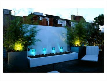 New York Plantings Irrigation