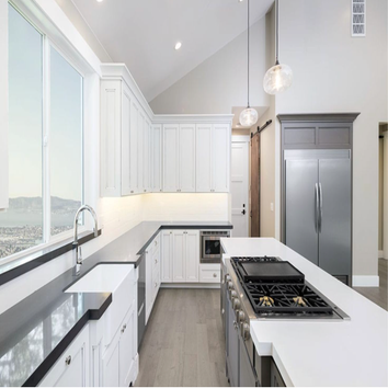 Single Family Home Luxury Kitchen