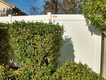 Vinyl Fence