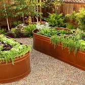 Harmonious Hardscapes